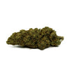 ORANGE BUD