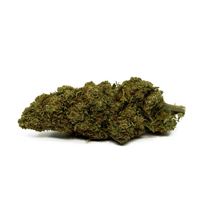 ORANGE BUD