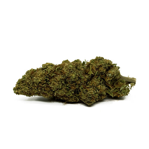 ORANGE BUD