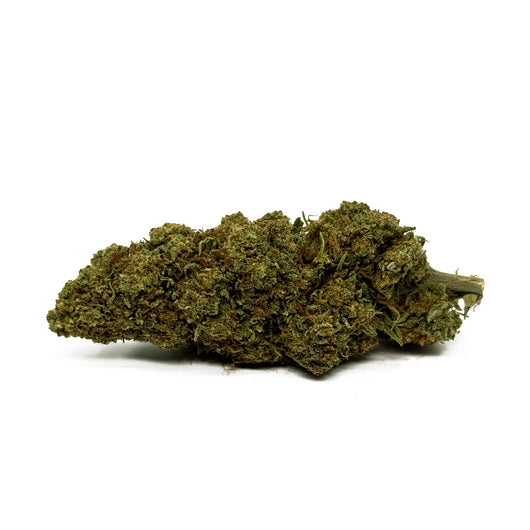 ORANGE BUD