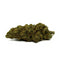 ORANGE BUD